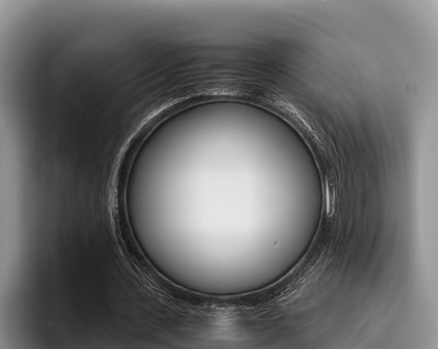 X0000096220531200801181031