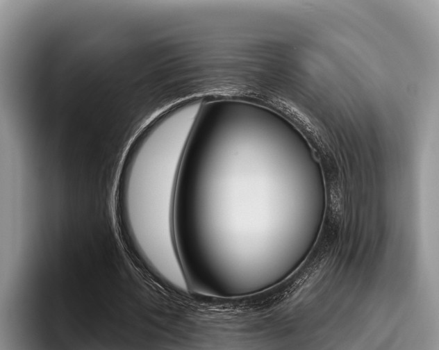 X0000096220532200801181031