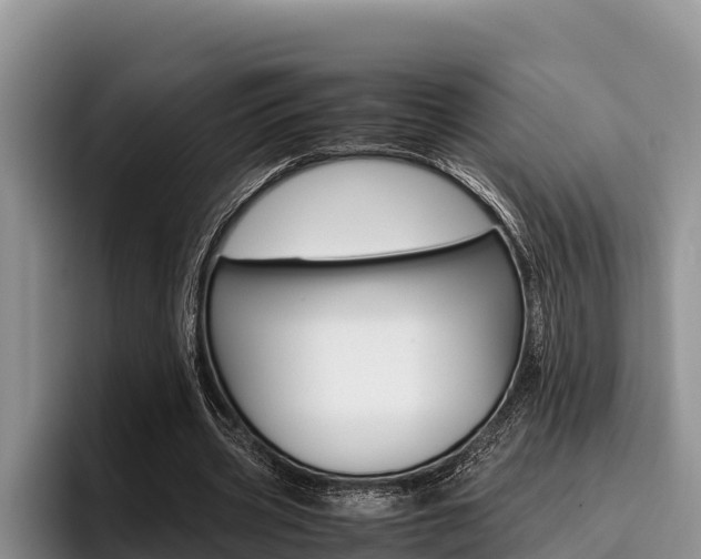 X0000096220533200801181031