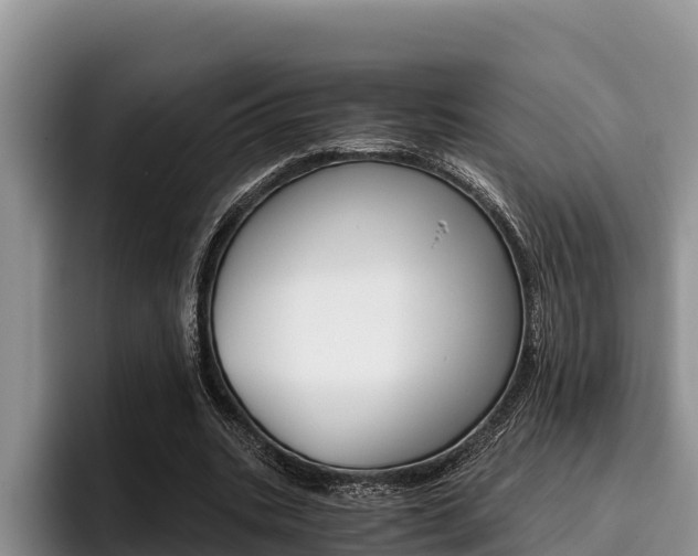 X0000096220535200801181031