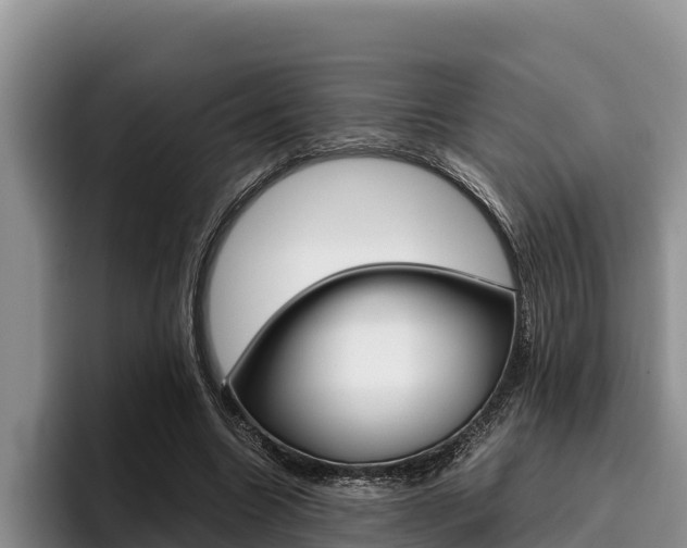 X0000096220538200801181031