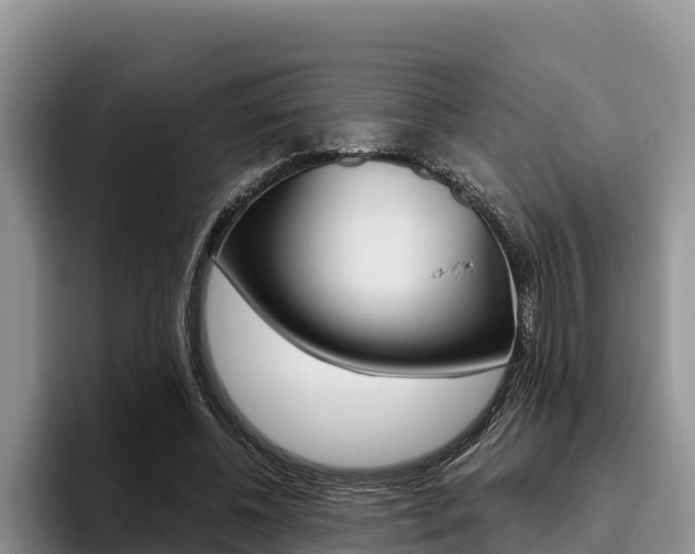 X0000096220540200801181031