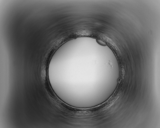 X0000096220541200801181031