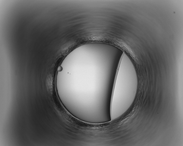 X0000096220542200801181031
