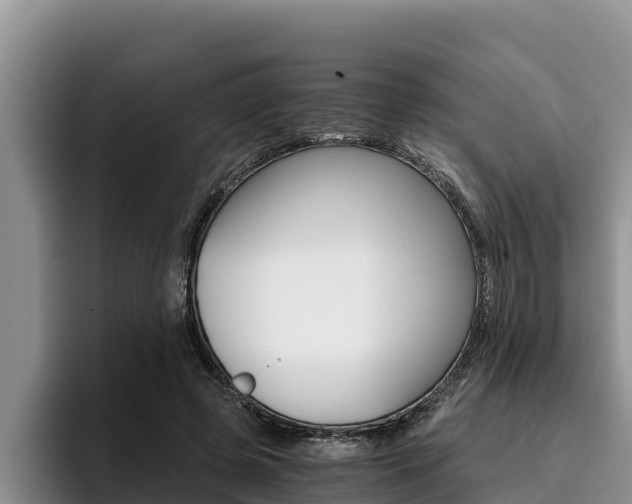X0000096220545200801181031