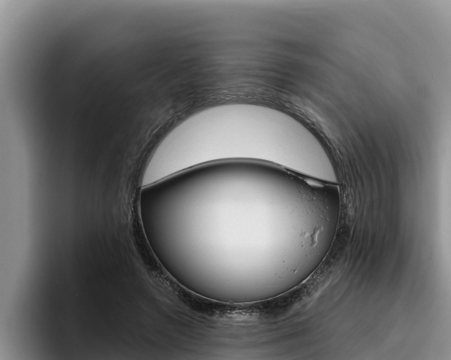 X0000096220546200801181031