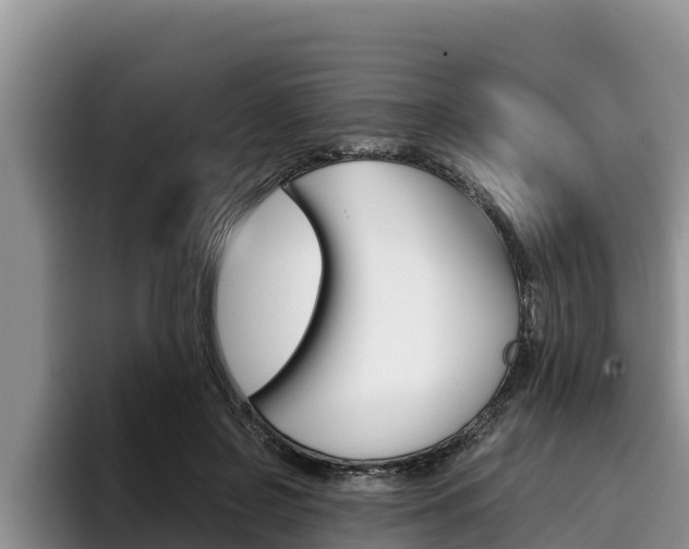 X0000096220550200801181031