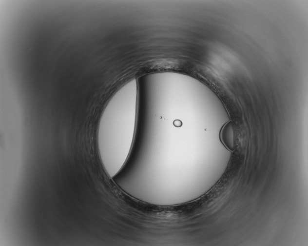 X0000096220551200801181031