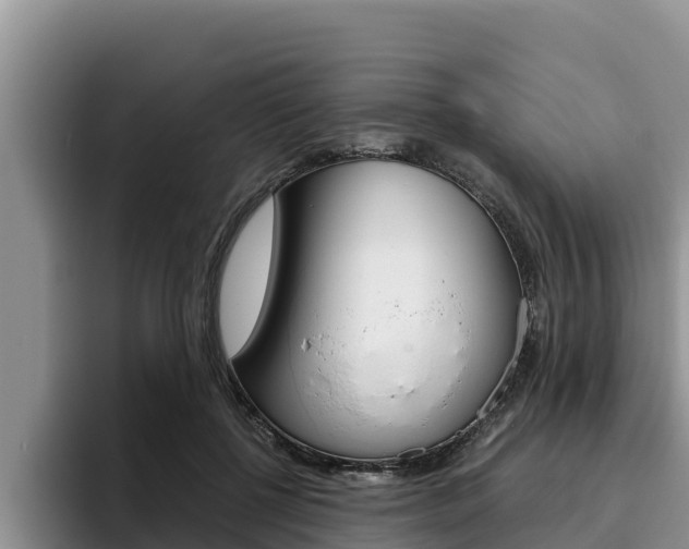 X0000096220552200801181031
