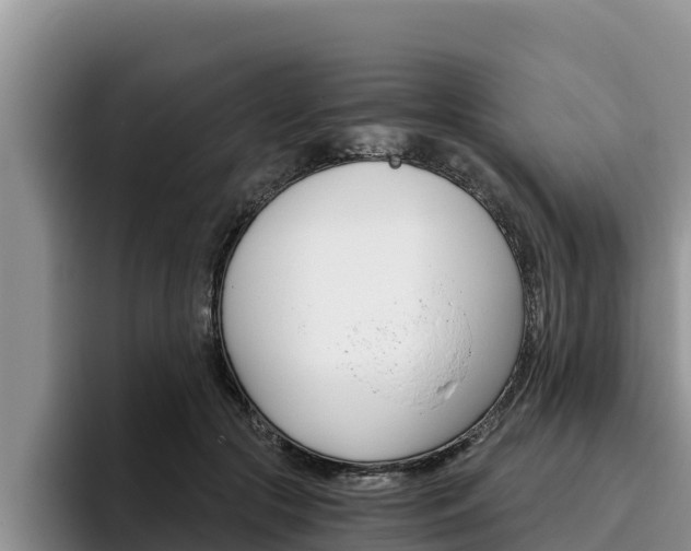 X0000096220553200801181031