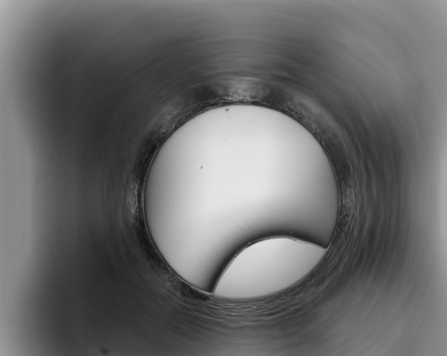 X0000096220554200801181031