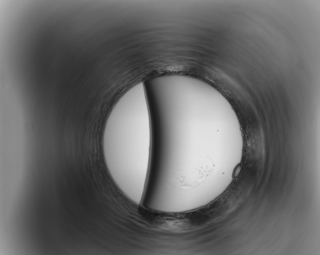 X0000096220555200801181031
