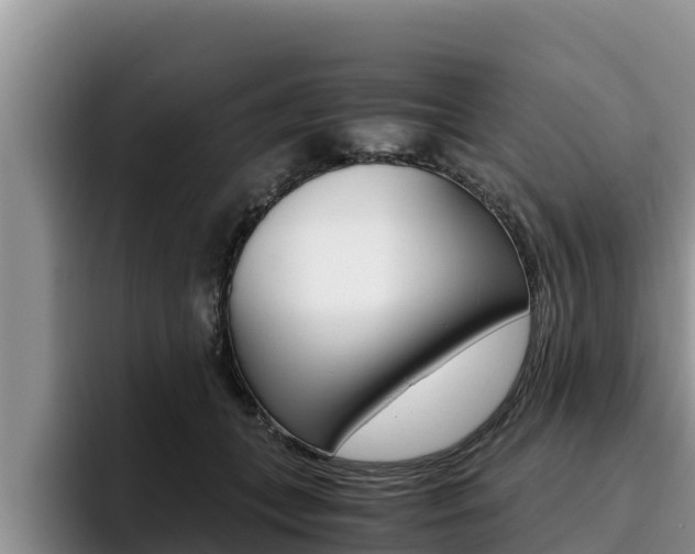 X0000096220559200801181031