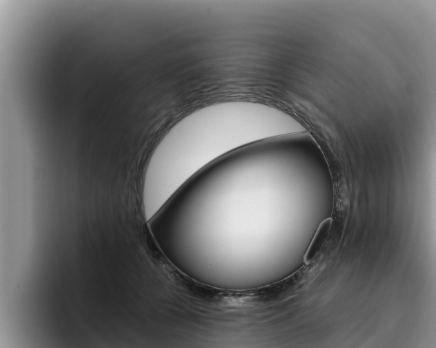 X0000096220560200801181031