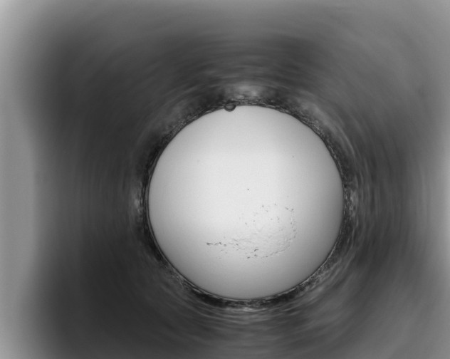 X0000096220561200801181032