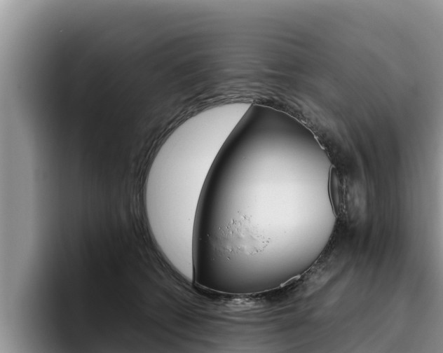 X0000096220562200801181032