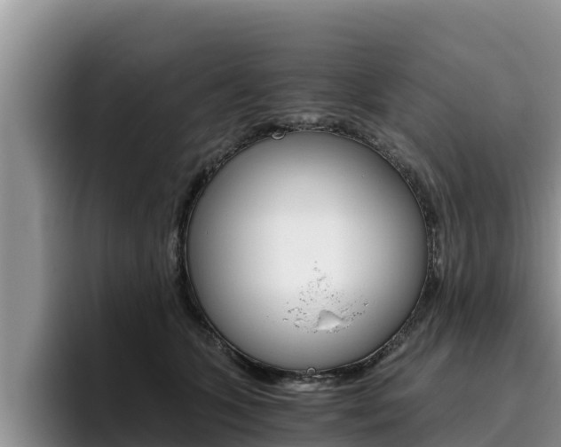 X0000096220563200801181032