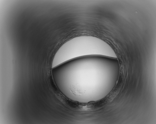 X0000096220564200801181032