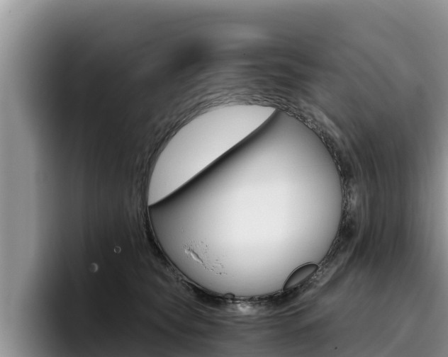X0000096220565200801181032