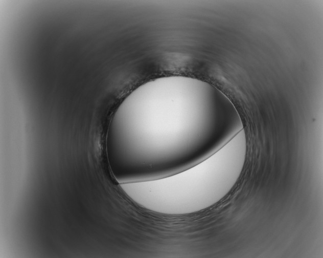 X0000096220566200801181032