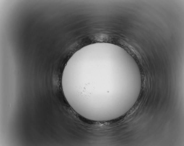 X0000096220569200801181032