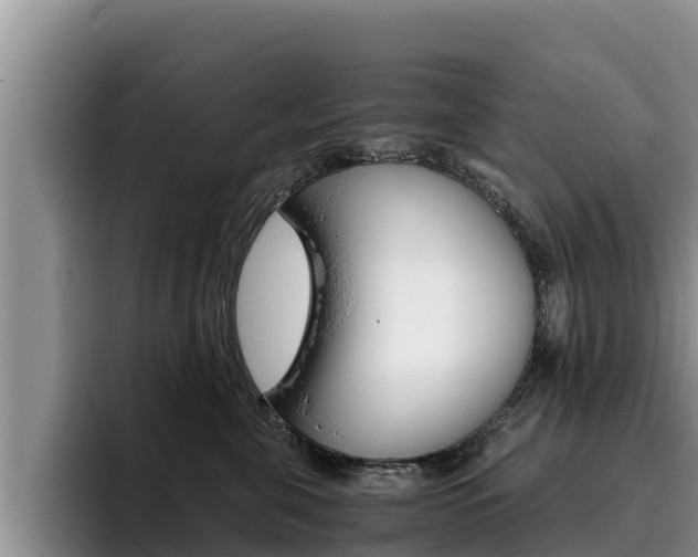 X0000096220571200801181032