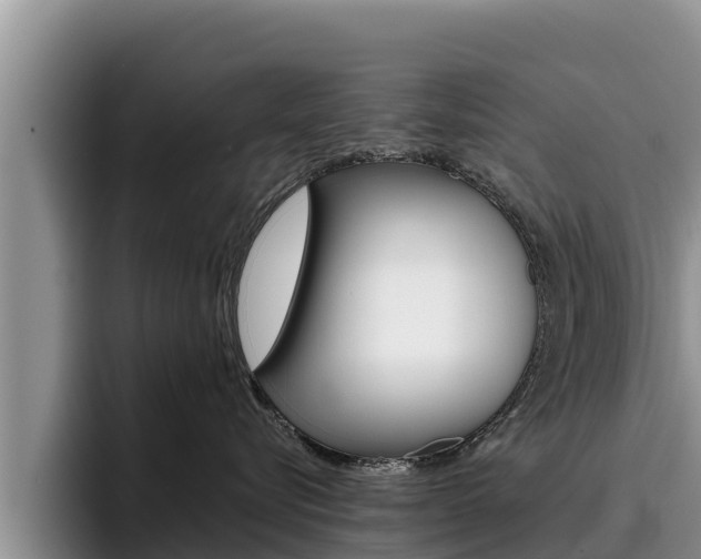 X0000096220576200801181032