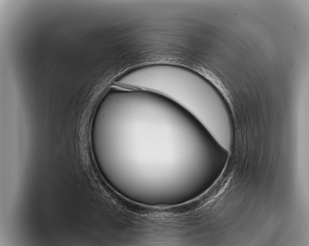 X0000096220577200801181031