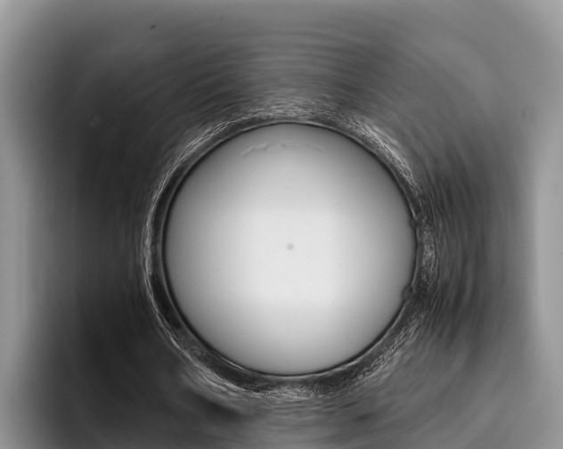 X0000096220578200801181031