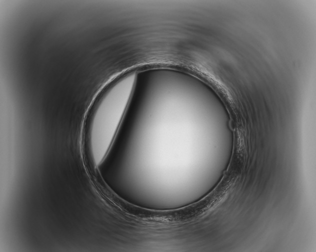 X0000096220580200801181031