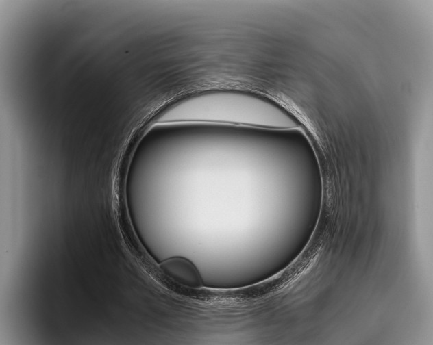 X0000096220581200801181031
