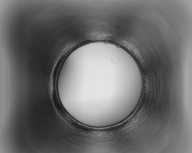 X0000096220582200801181031