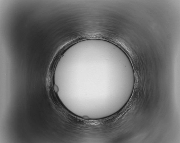 X0000096220583200801181031