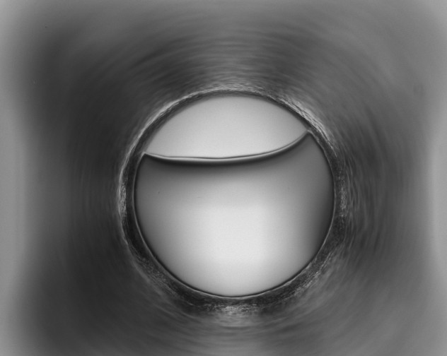 X0000096220584200801181031