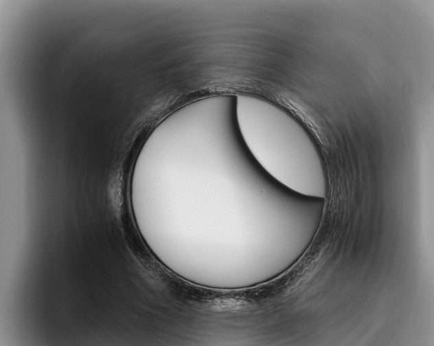 X0000096220586200801181031