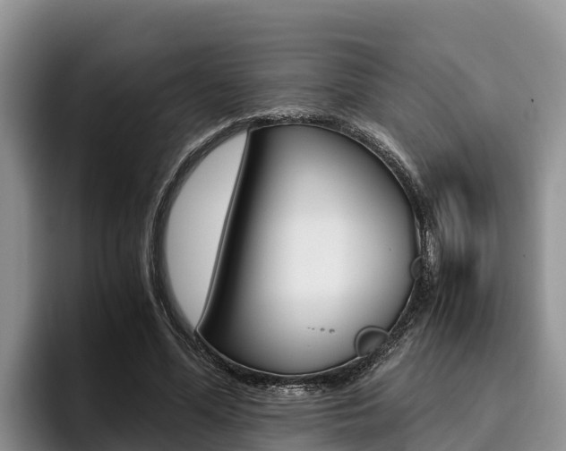 X0000096220588200801181031