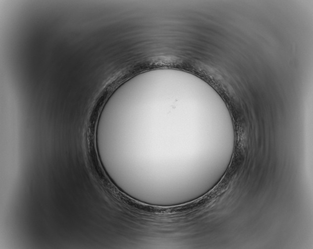 X0000096220591200801181031