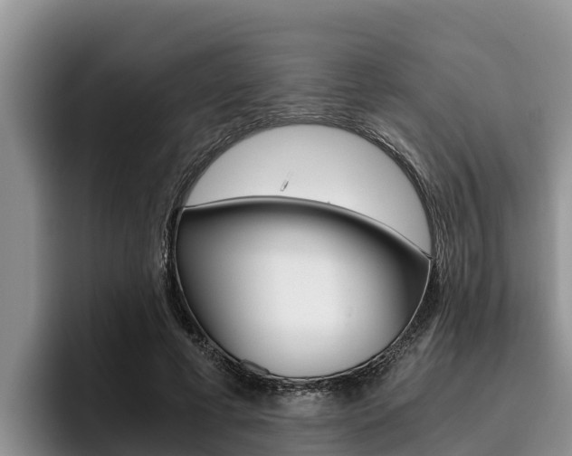 X0000096220593200801181031