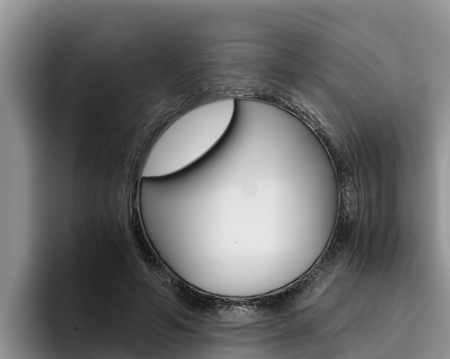 X0000096220594200801181031