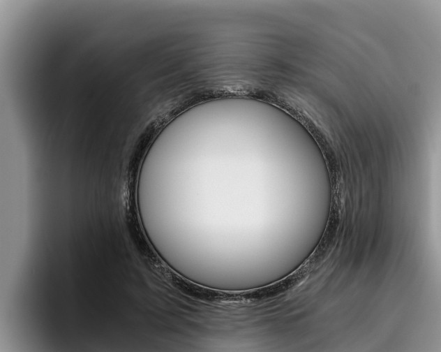 X0000096220595200801181031