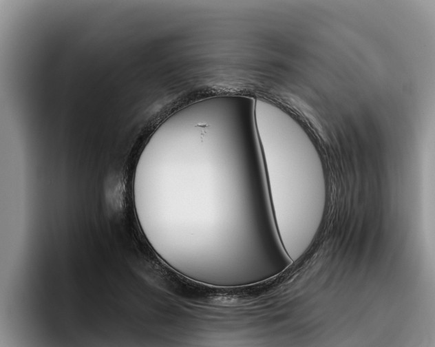 X0000096220596200801181031