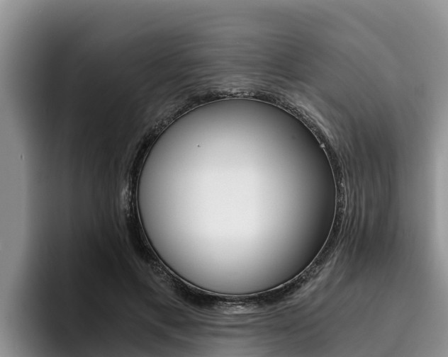 X0000096220597200801181031
