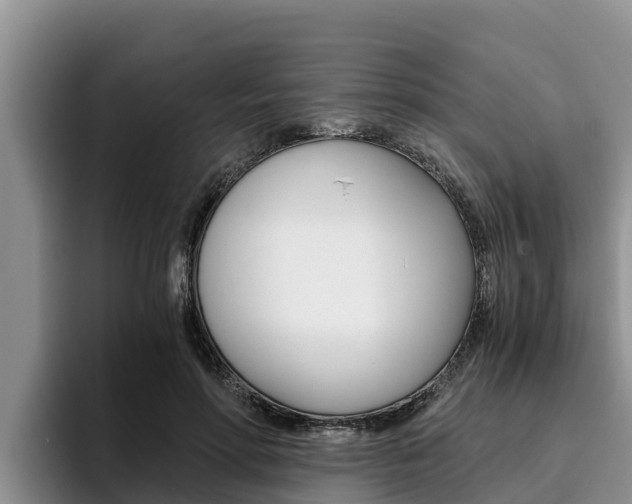 X0000096220598200801181031