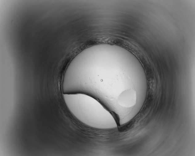 X0000096220602200801181031