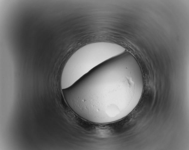 X0000096220603200801181031