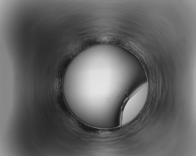 X0000096220605200801181031