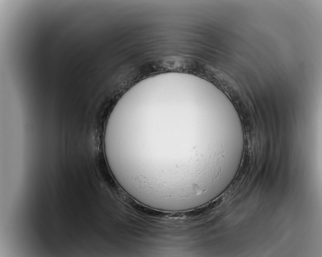 X0000096220606200801181031