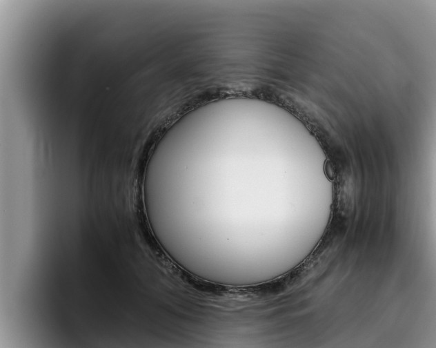 X0000096220608200801181031
