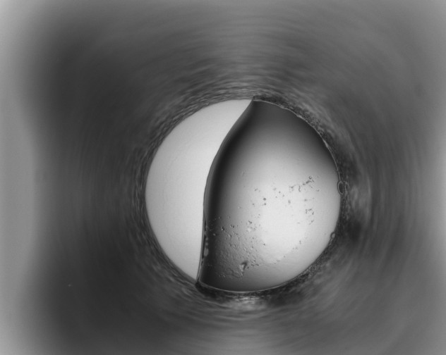 X0000096220609200801181031