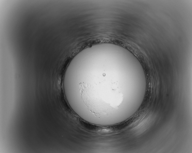 X0000096220610200801181031